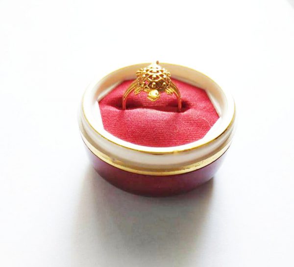 Tortoise Ring Small