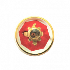 tortoiseringwithrudraksh-jyotishshop