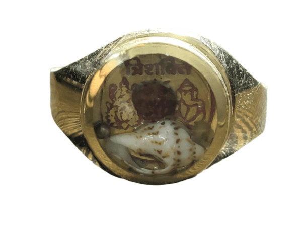 Ashtadhatu(अष्टधातु) High Quality Trishakti(त्रिशक्ति)Ring With Double Rudraksh(रुद्राक्ष), Shankh(शंख) And Mercury(पारा)