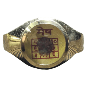 Aries (Mesha-मेष) Rashi(राशि) Asthdhatu(अष्टधातु) Ring(रिंग) with Rudraksh(रुद्राक्ष)