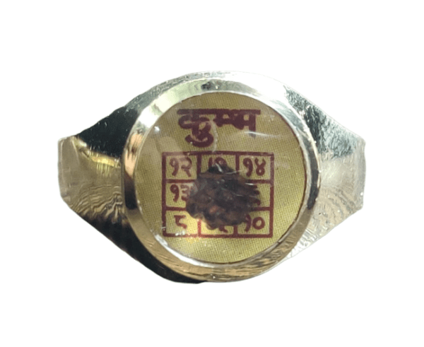 Aquarius (Kumbh-कुम्भ) Rashi(राशि) Yantra(यंत्र) Asthdhatu(अष्टधातु) Ring(रिंग) with Rudraksh(रुद्राक्ष)