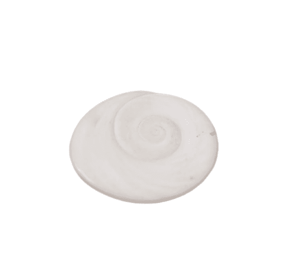 Gomti Chakra(गोमती चक्र)- छोटा साइज़- 5 Piece