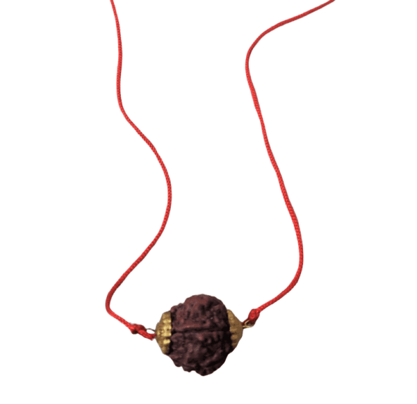 5 Mukhi Rudraksha(5 मुखी रुद्राक्ष) Golden Cap Locket