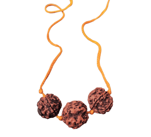 4 And 5 Mukhi Rudraksha Locket