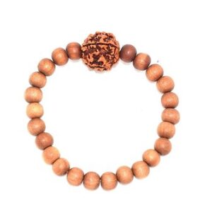 Real & Natural Sandal(चन्दन) Wood Wrist Band Bracelet With Rudraksh(रुद्राक्ष)