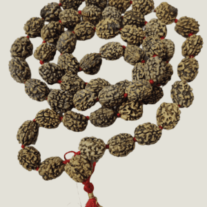 3 Mukhi Rudraksha Mala(3 मुखी रुद्राक्ष माला ) | 54+1 Beads | Bead size- 16 mm