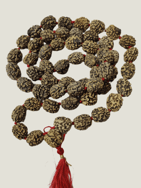 3 Mukhi Rudraksha Mala(3 मुखी रुद्राक्ष माला ) | 54+1 Beads | Bead size- 16 mm