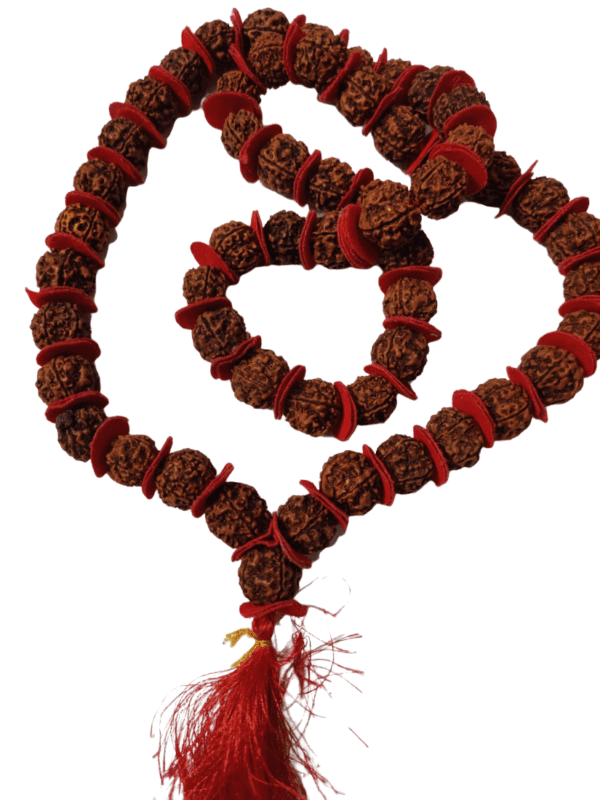 5 Mukhi Rudraksha Mala(5 मुखी रुद्राक्ष माला ) | 54+1 Beads | Bead size- 17 mm