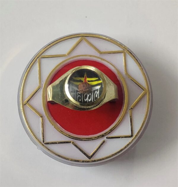Ashtadhatu(अष्टधातु) High Quality Mahakal(महाकाल) Ring With Rudraksh(रुद्राक्ष)