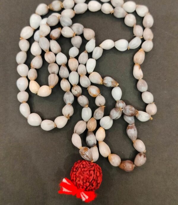 Vaijanti Mala(वैजन्ती माला) | 108 Beads