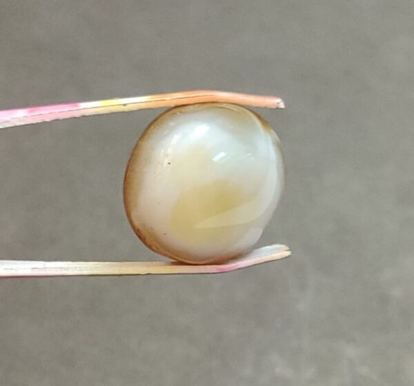 Hakik Stone(हकीक रत्न) | Weight 11.75 Carat