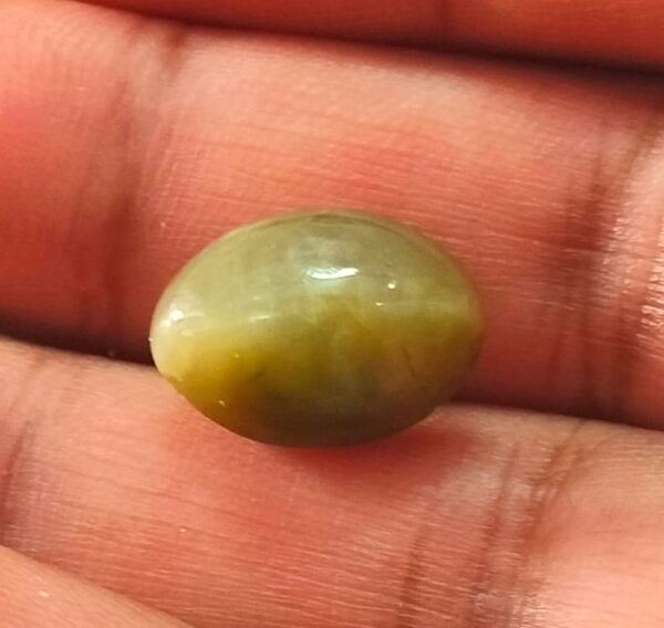 Certified Cats Eye Lahsuniya Stone (लहसुनिया स्टोन) , Weight- 8.1 carat