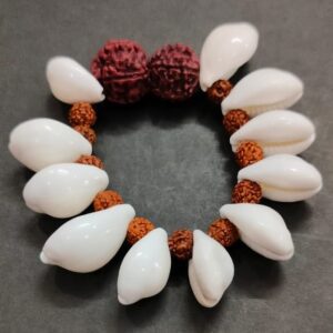 Rudraksh Kaudi Bracelet (रुद्राक्ष कौड़ी ब्रेसलेट)