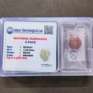 3 Mukhi Certified Rudraksha With Certificate (सर्टिफाइड 3 मुखी रुद्राक्ष )
