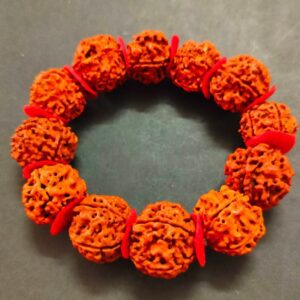 Big Size Beads 5 Mukhi Rudraksha Bracelet(5 मुखी रुद्राक्ष ब्रेसलेट)