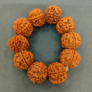 Big Size Beads 6 Mukhi Rudraksha Bracelet(6 मुखी रुद्राक्ष ब्रेसलेट)
